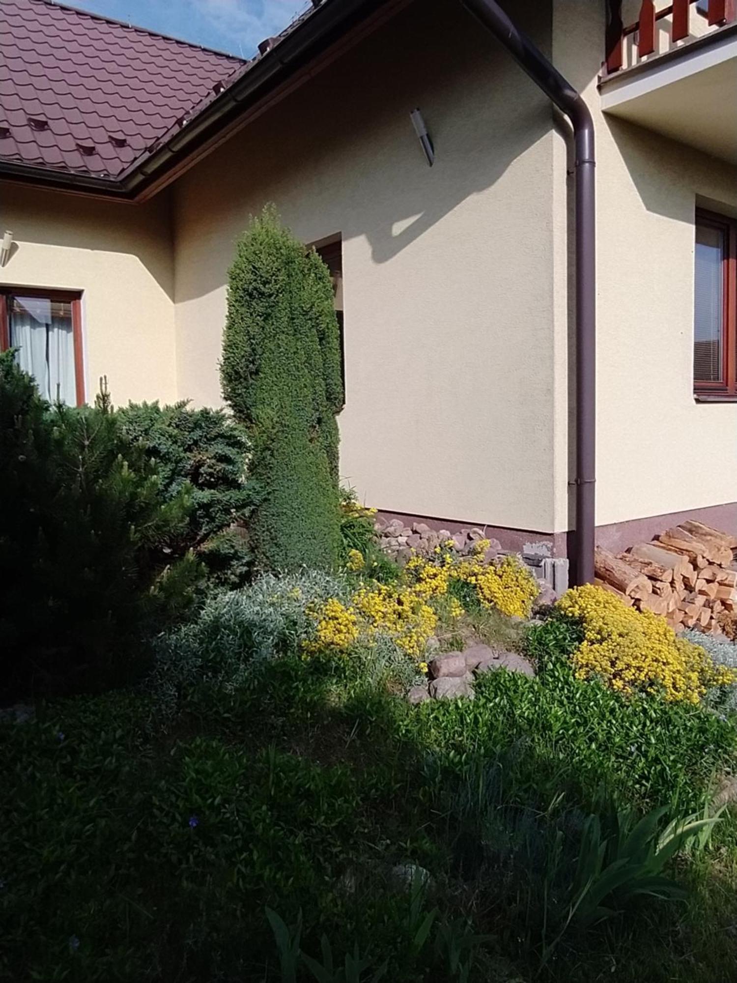 Penzion Tatry Vel'ka Lomnica Cameră foto